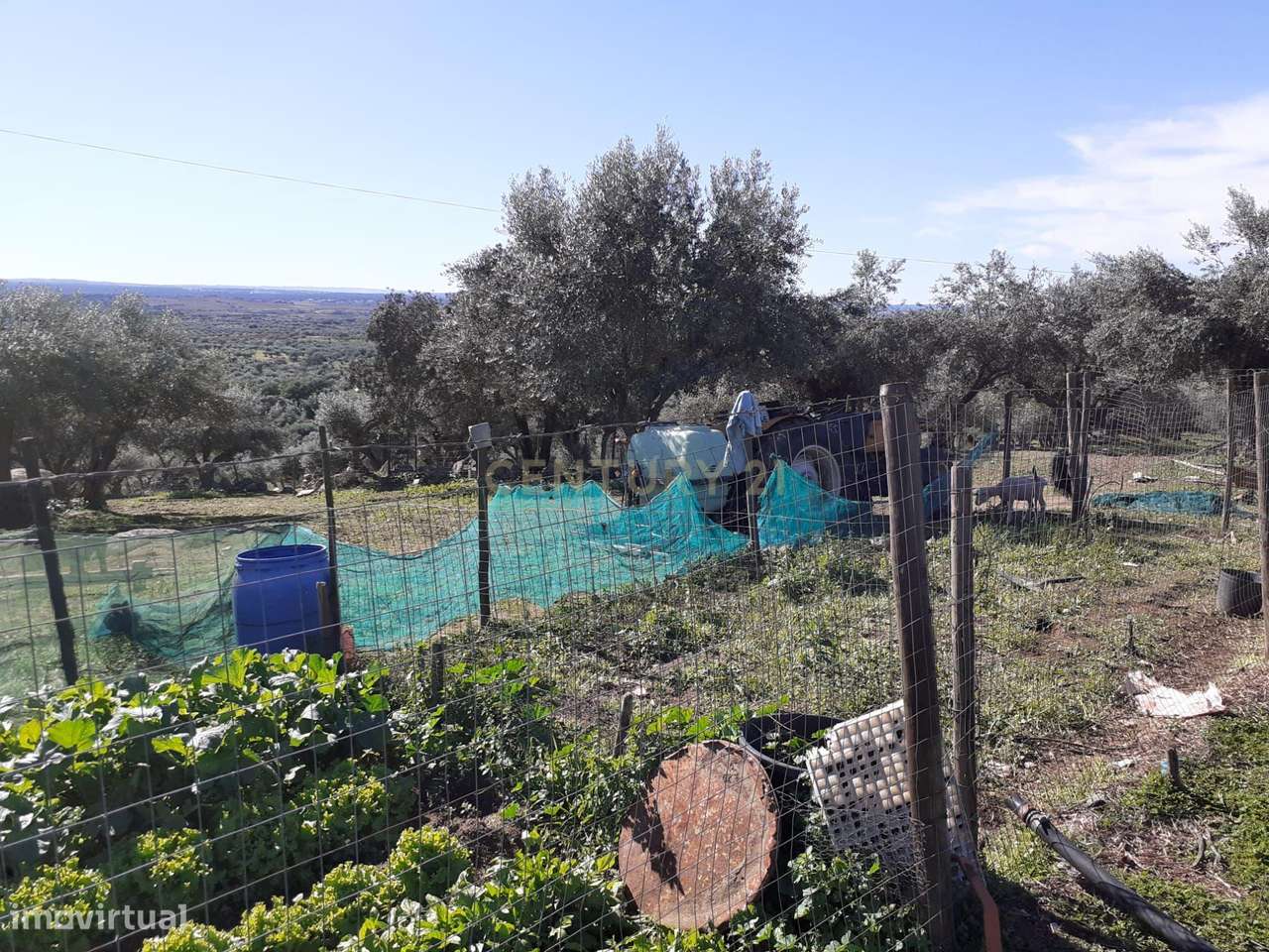 Oportunidade, junto á aldeia do Carrapatelo. Conselho de Reguengos de - Grande imagem: 5/10