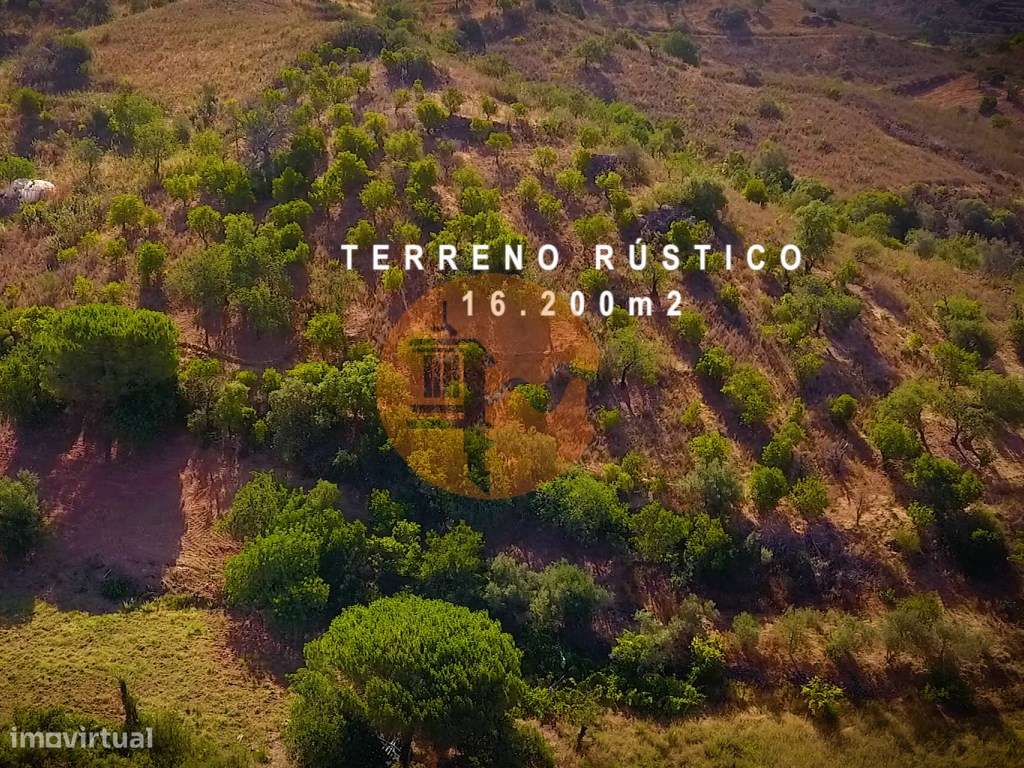 TERRENO COM PEQUENA RUÍNA EM CORTE DO PESO - Grande imagem: 4/39