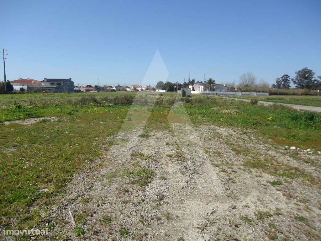 Terreno para construção de 11 moradias nas Quintãs, Aradas - Grande imagem: 5/8