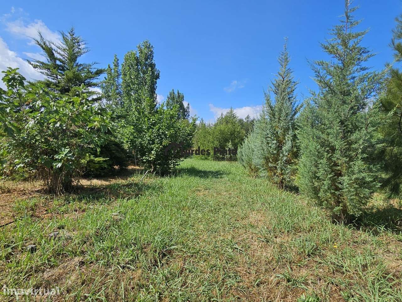 Quinta com habitação-7