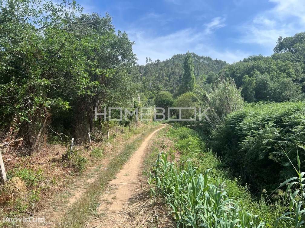 Terreno rústico entre Salgados e Mafra