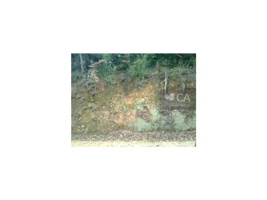 Terreno para construção - Grande imagem: 4/4