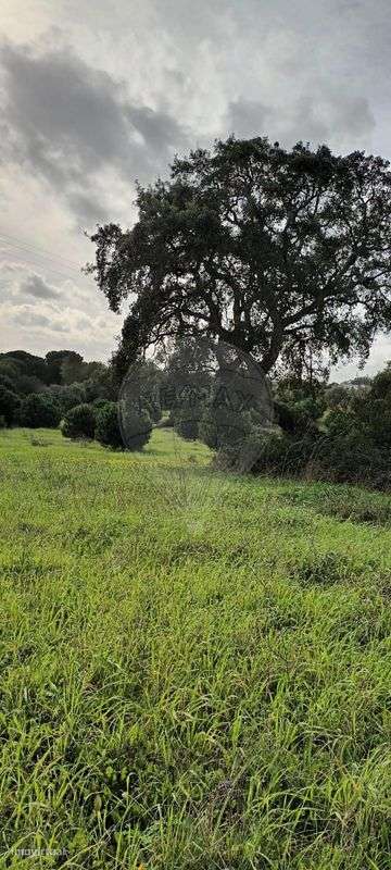 Terreno  para venda - Grande imagem: 3/3