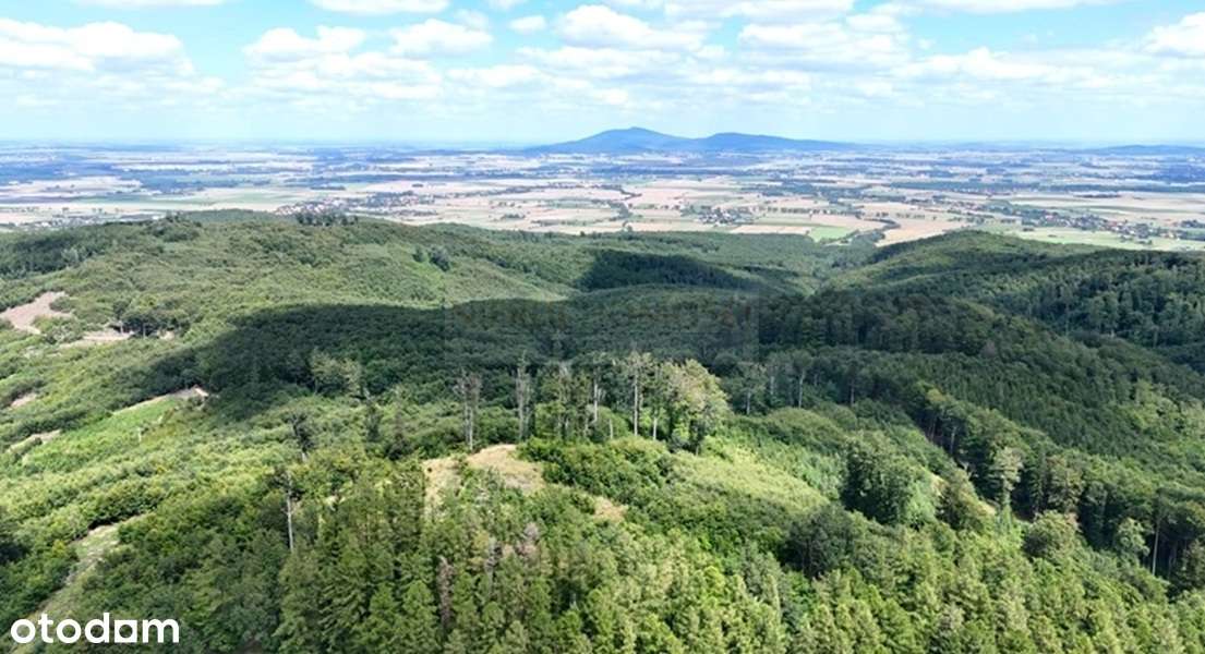 Duża działka budowlano-inwestycyjna/Góry Sowie!-14