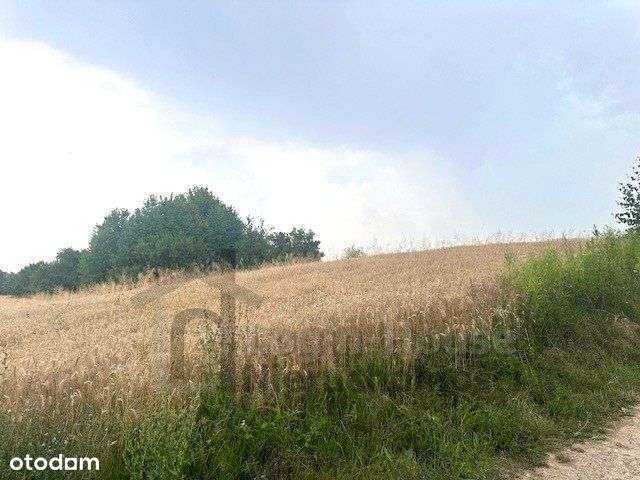 Działka budowlano-rolna niedaleko Kazimierza-7