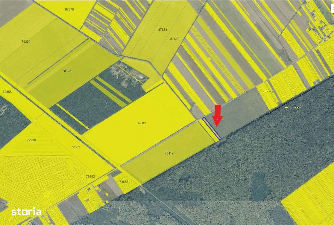 Teren de vânzare lângă pădure, intravilan - Imagine principală: 2/3