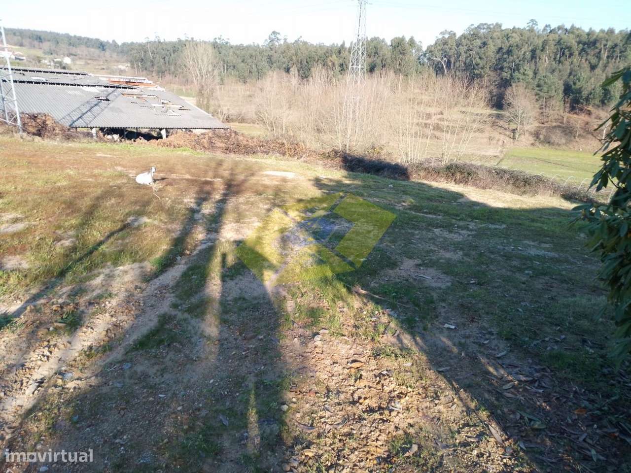 Terreno para construção em Felgueiras - Grande imagem: 4/12