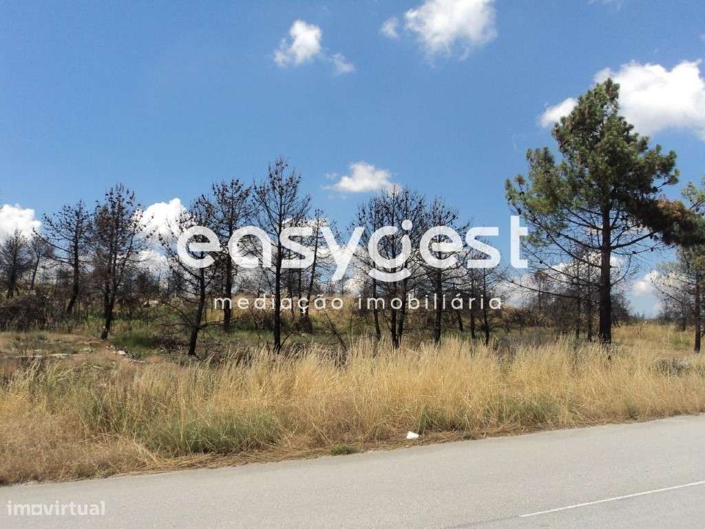 Lotes na Zona Industrial de Alijó - Grande imagem: 3/11