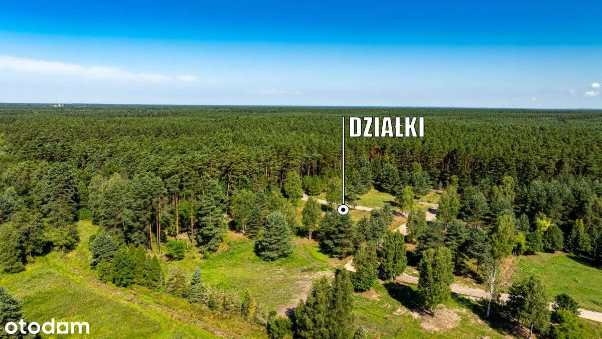 Działki Budowlane Z Widokiem NA Las I Rzekę - Pełny obrazek: 4/6