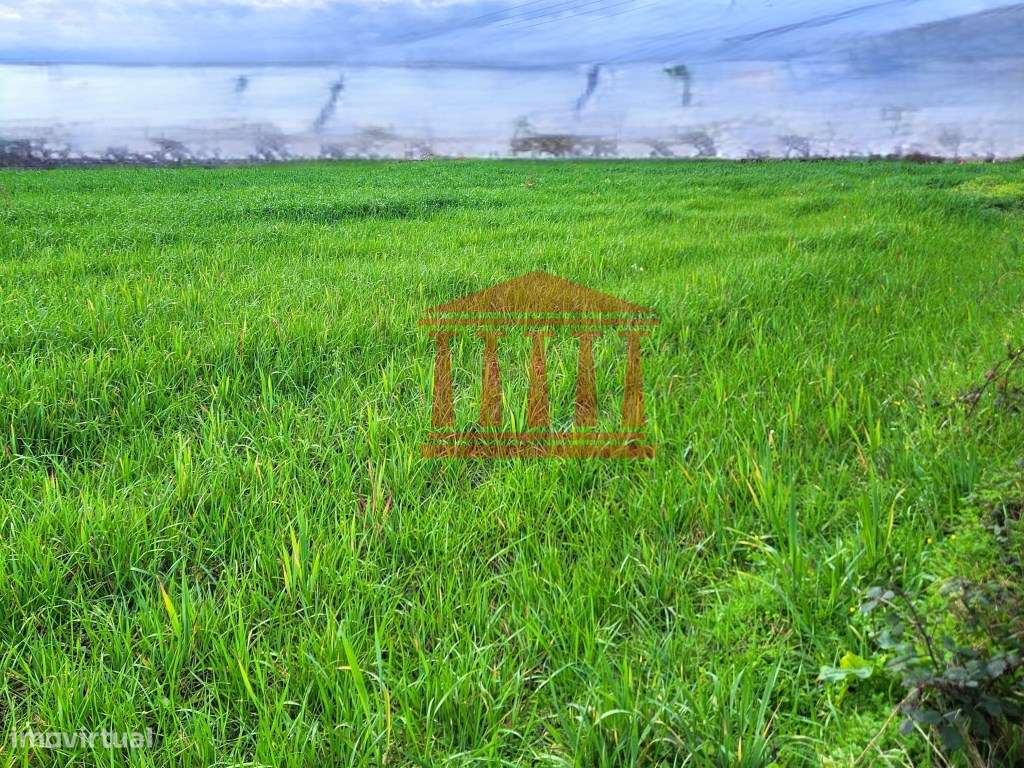 TERRENO PARA CONSTRUÇÃO - Grande imagem: 3/8