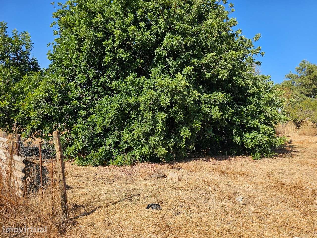 Terreno Rústico| São Clemente| Loulé - Grande imagem: 5/28