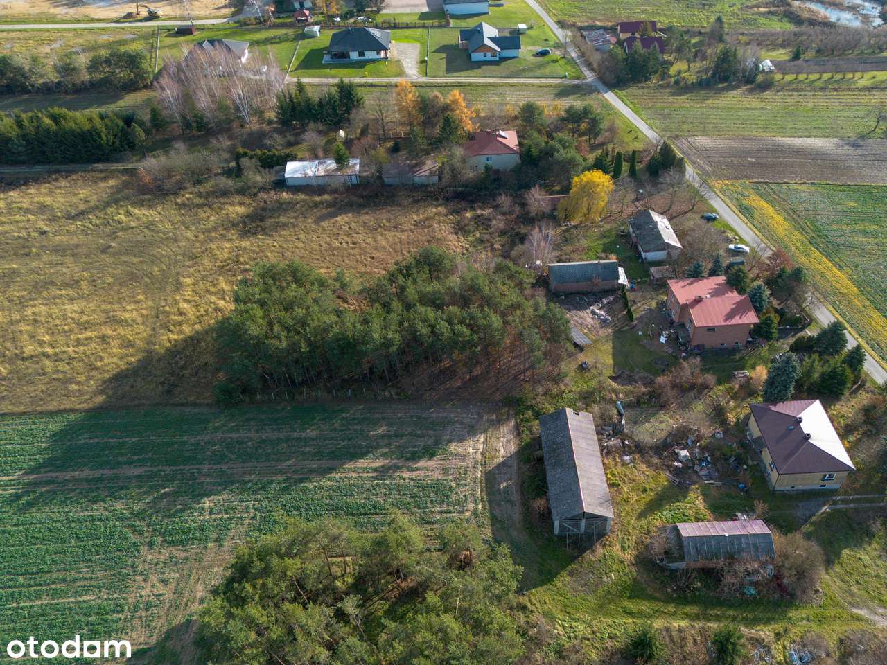 Działka budowlana, 1028m², Łuszczów Pierwszy, gm. Wólka - Pełny obrazek: 5/7