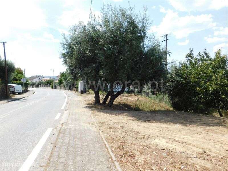 Terreno / Fundão, Alcaria - Grande imagem: 3/5