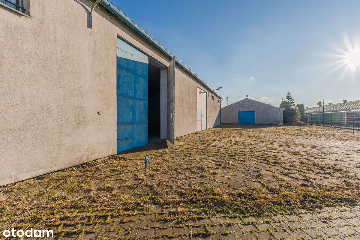 Hale magazynowo-produkcyjne na sprzedaż-12