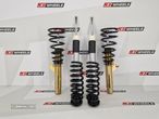Coilovers DTS Line | Seat Ibiza 6L - 1