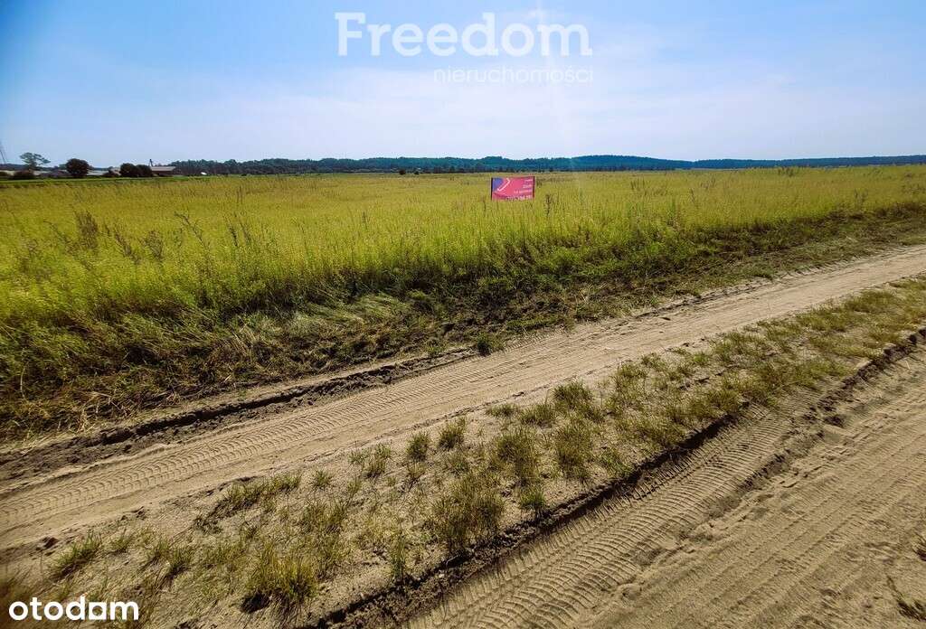 Działka na Mazurach Napiwoda Nidzica - Pełny obrazek: 5/20