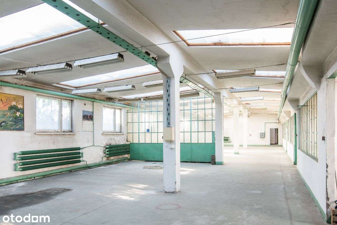 Hala magazynowo-produkcyjna - Pełny obrazek: 3/13