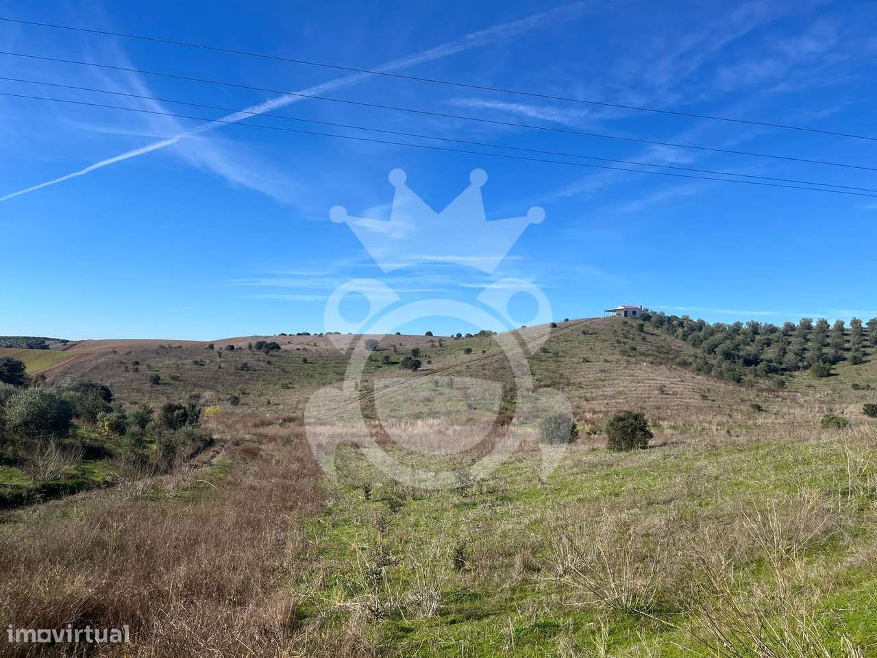 Terreno com 184500m2 em Ervidel - Grande imagem: 5/22