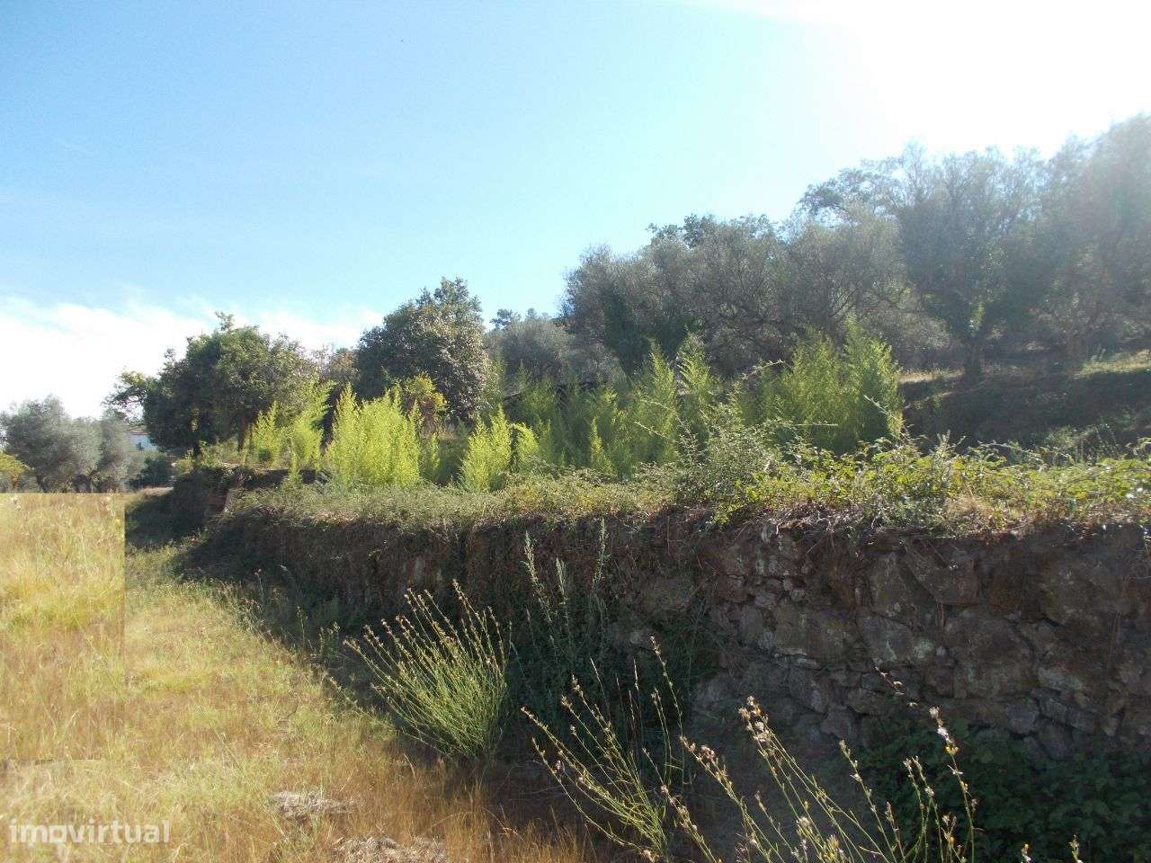 Chaves Quinta Vista Panorâmica-7