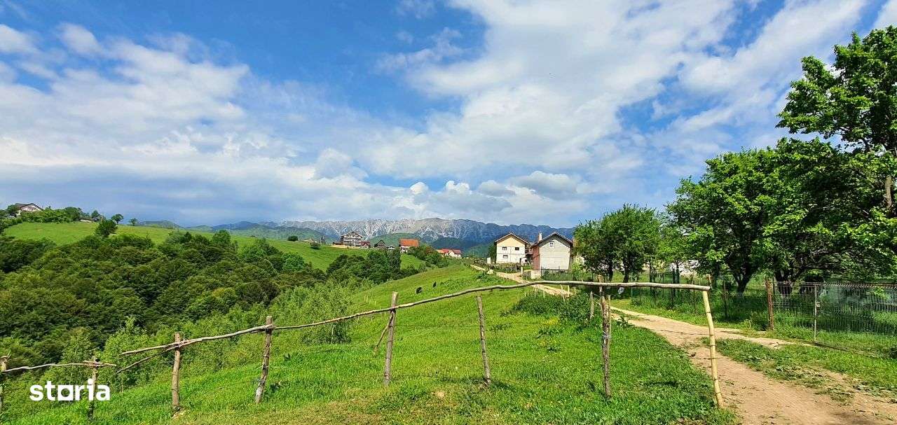 Teren casa de vacanta , Pestera , Brasov-8