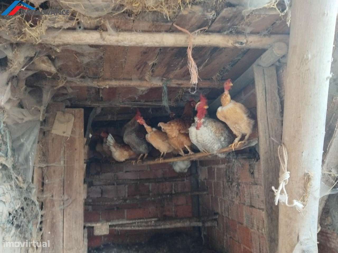 Casa centenária situada numa aldeia no concelho de Penacova, Coimbra-8