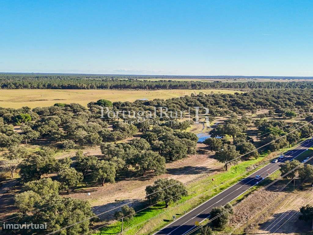 Herdade de 60 hectares para criação bovina e equina perto de Lisboa-26