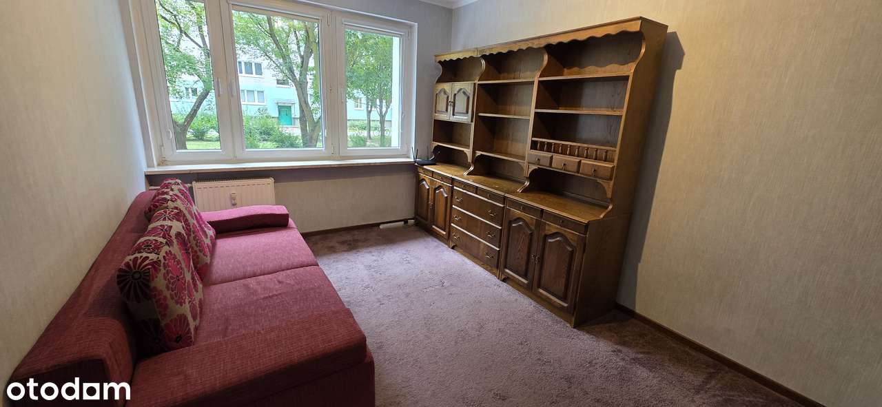 Przestronne 4-pok, Winogrady,-2