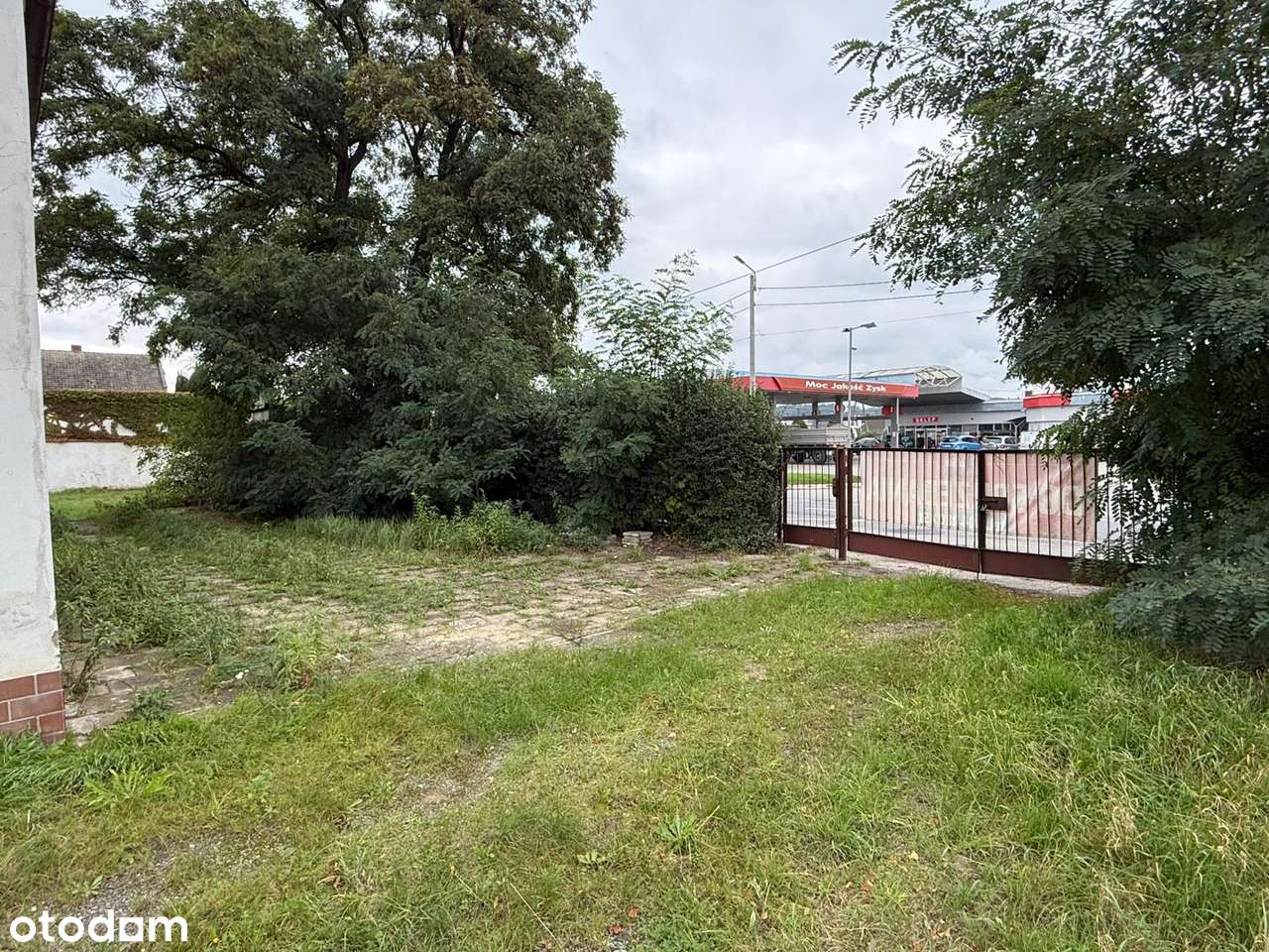 Sprzedam Dom w Ziębicach pod inwestycję-5