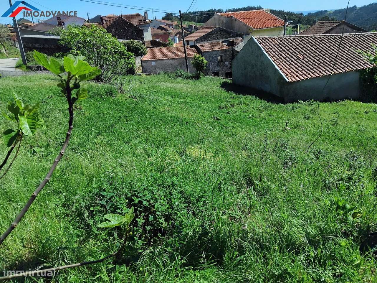 Casas para restauro no Concelho de Penacova - Coimbra-23