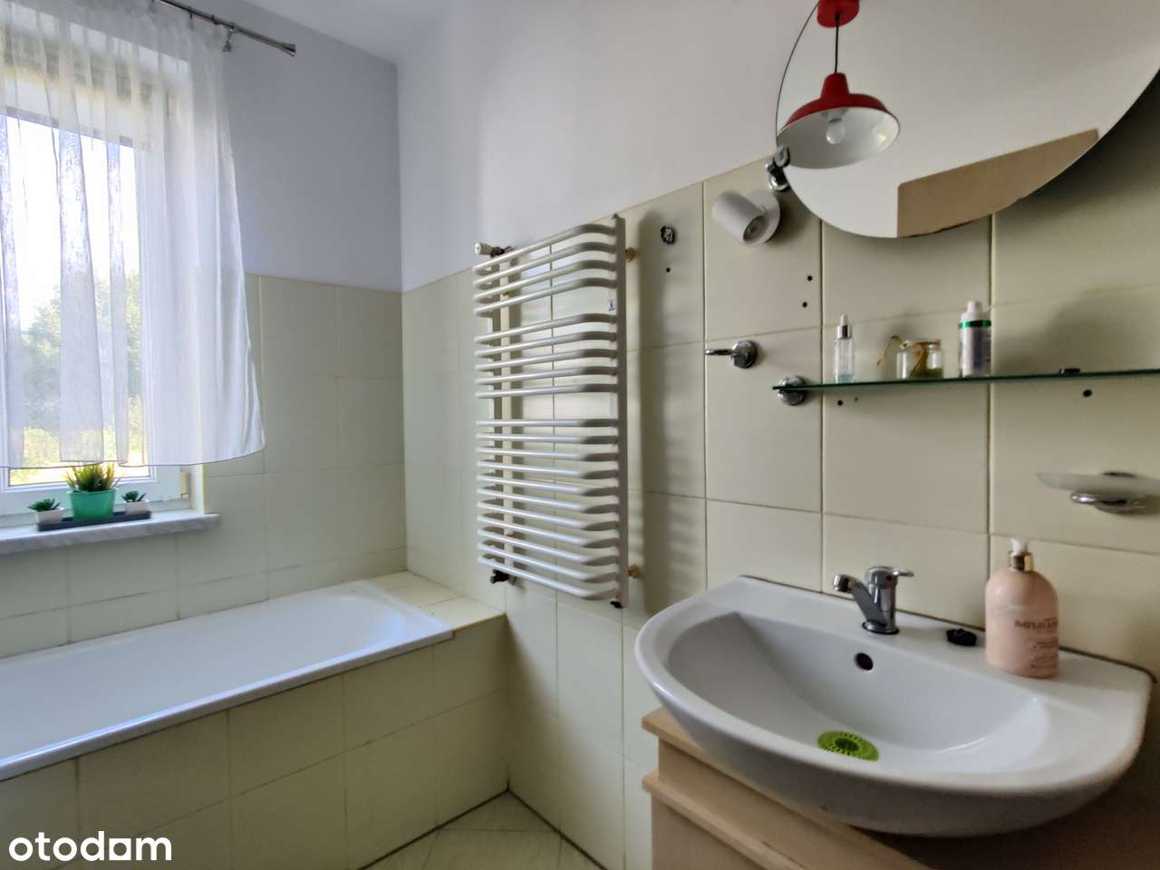 Mały domek z dużą działką-10