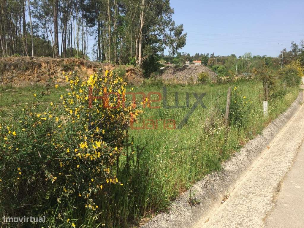 Terreno para construção em Oliveira de Azeméis - Grande imagem: 4/4