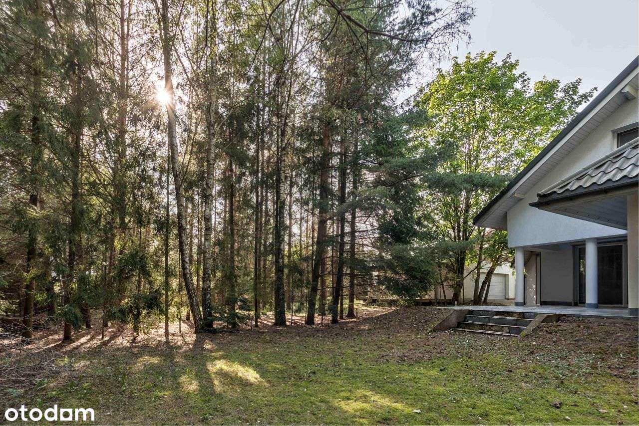 Stanisławowo, piękny dom w lesie - Pełny obrazek: 5/18