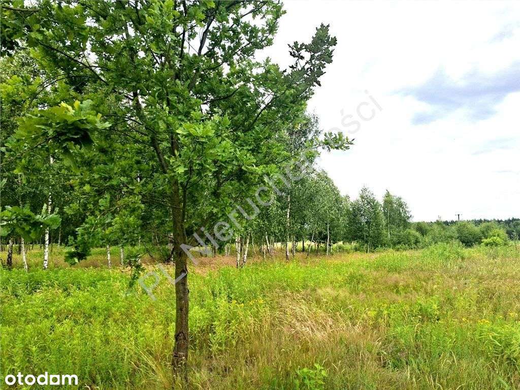 Duża działka w dobrej cenie !-5