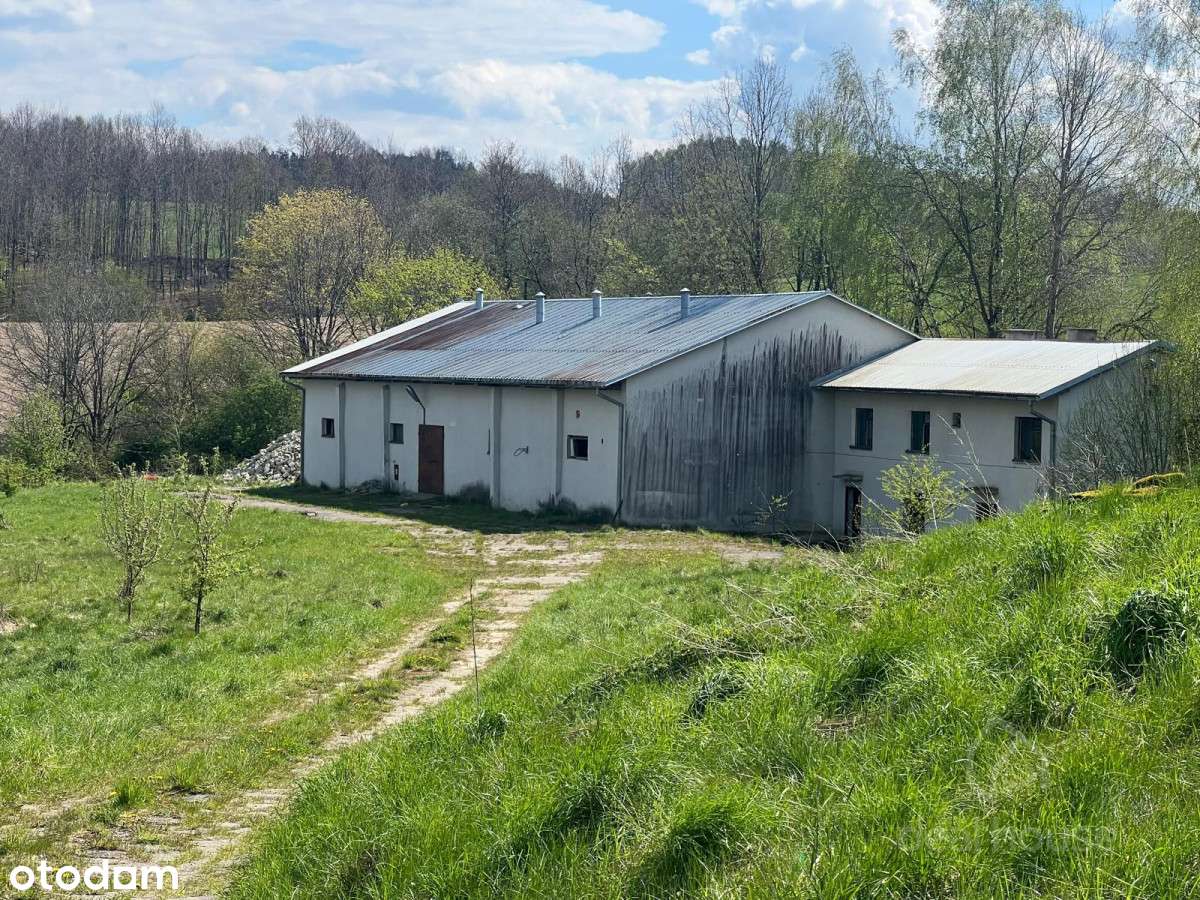 Piękne tereny, duży potencjał, Siedlisko:)-2