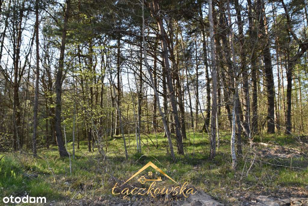 KOWALEWO działki na sprzedaż-6