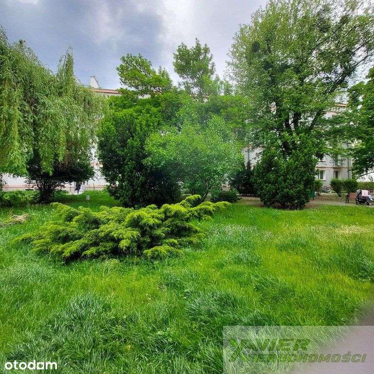 Stare Bielany 2pokoje Żeromskiego/Lisowska-10