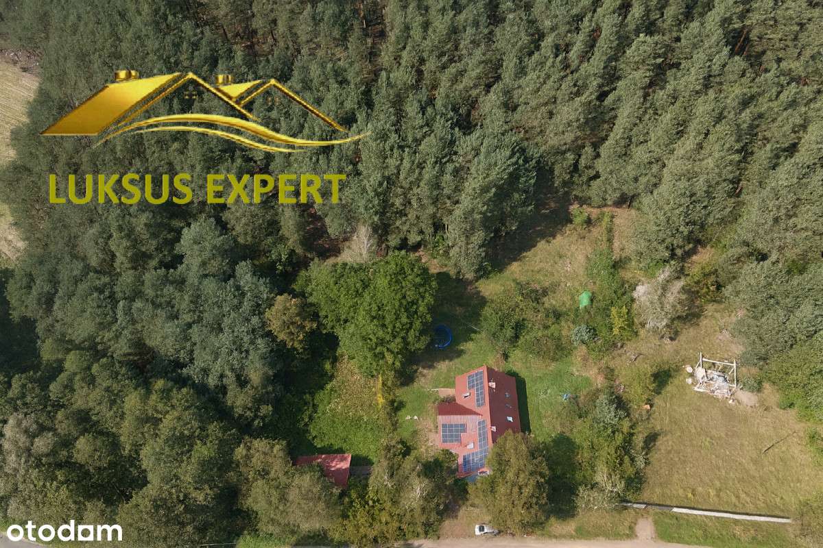 Dom z pięknym widokiem na las. - Pełny obrazek: 5/20