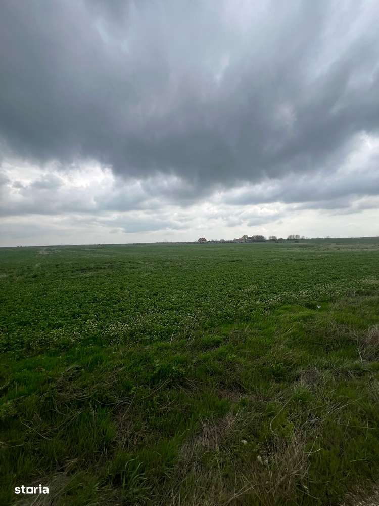 Teren intravilant Mihailesti - Imagine principală: 2/3