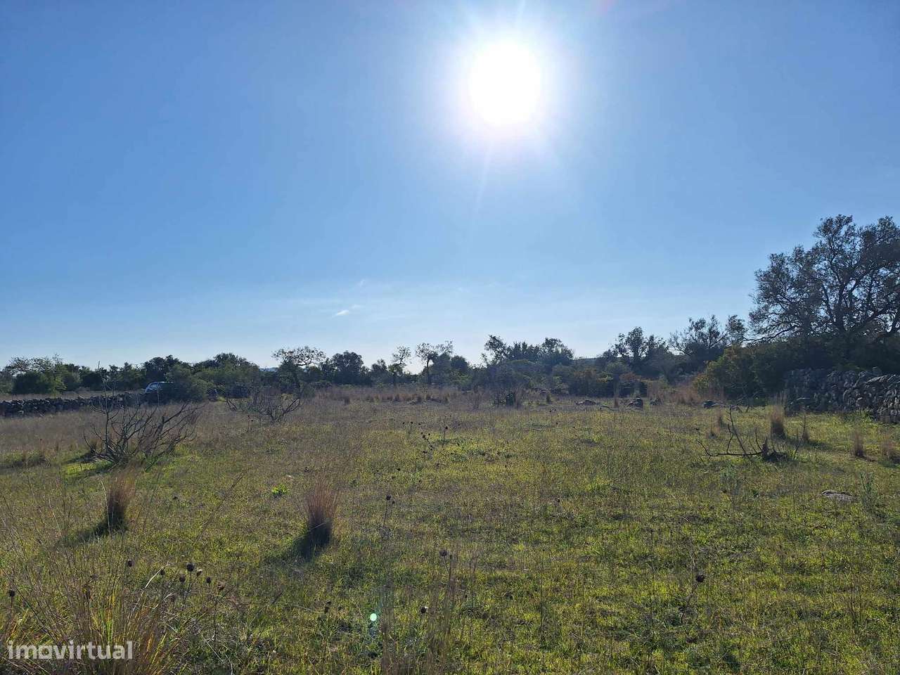 Terreno Rústico no Sítio do Laranjeiro de Santa Catarina da Fonte d...-0