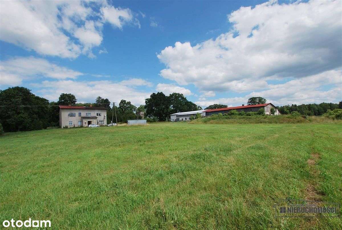 Nieruchomość zabudowana oborą blisko Białego Boru - Pełny obrazek: 5/20