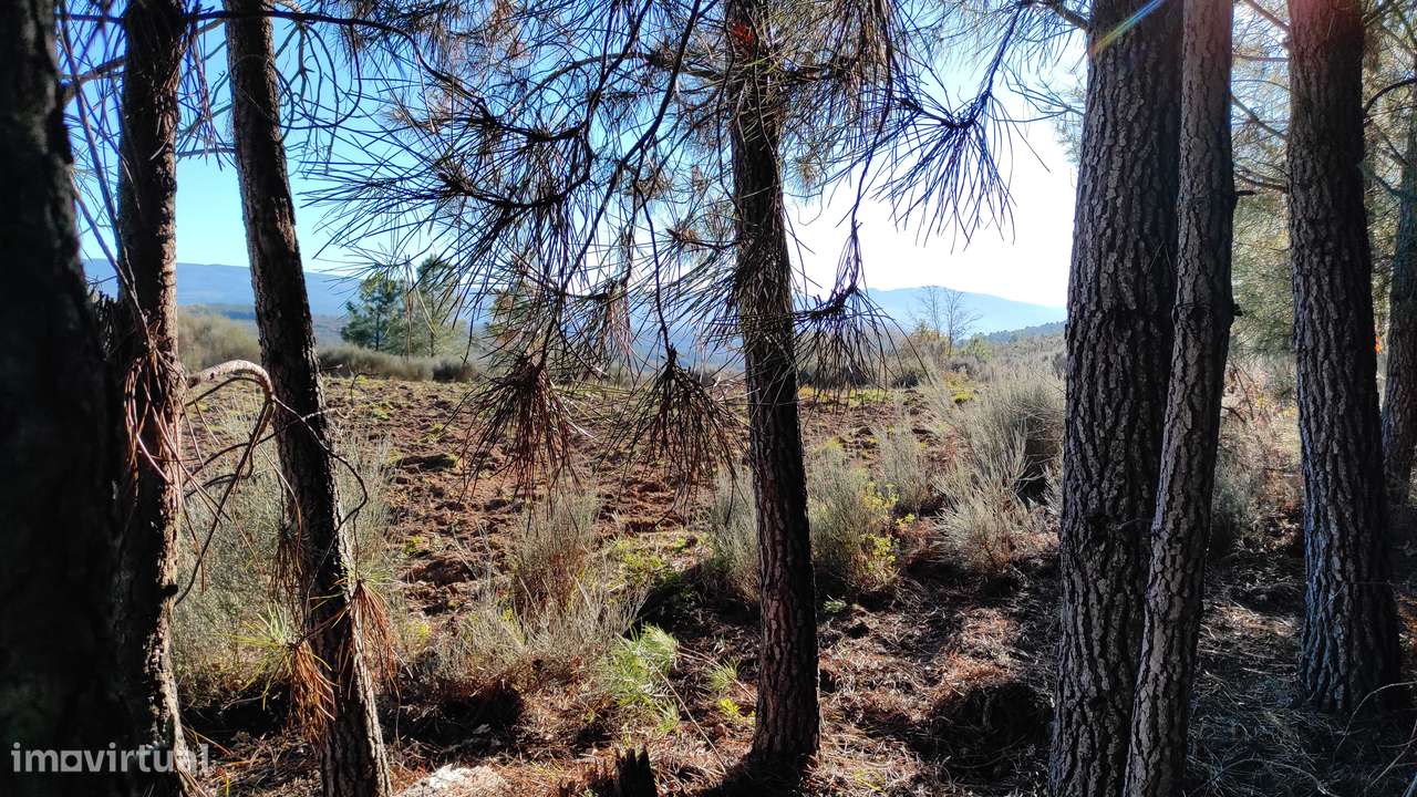 Quinta com vista deslumbrante para a Serra da Estrela 17500€-12