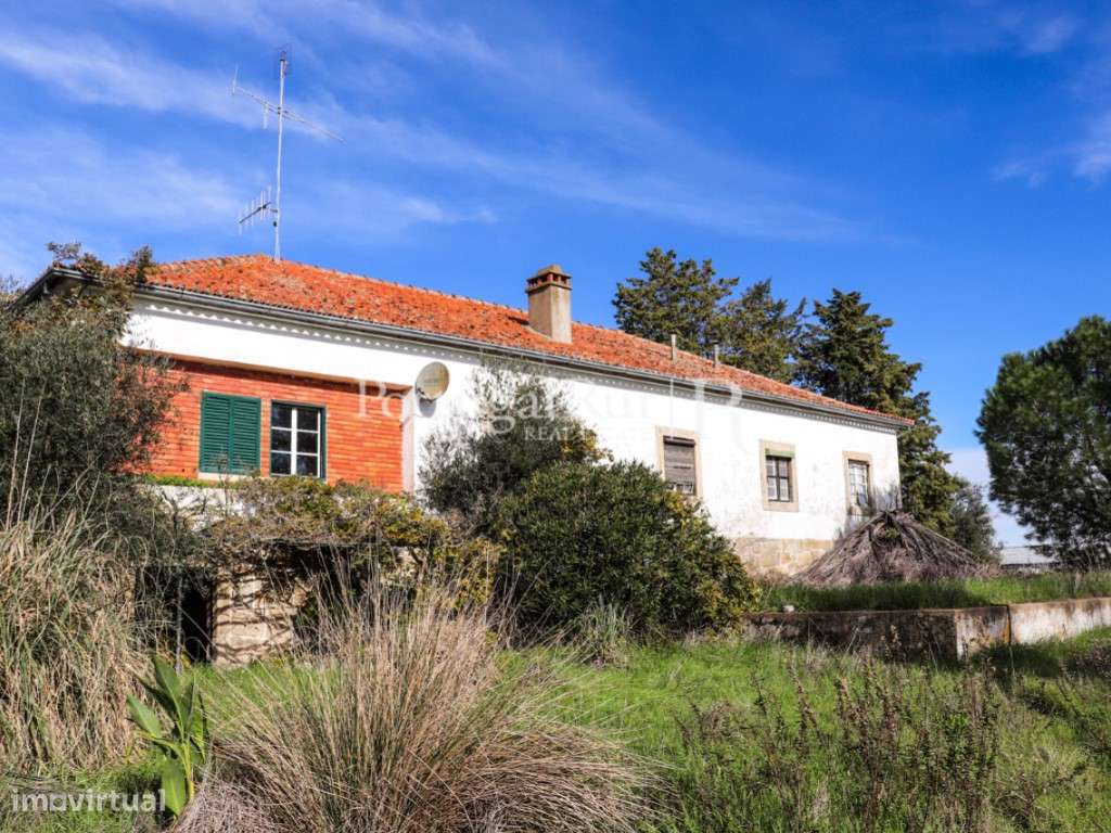 Quinta com casa de habitação T5 e diversas construções-24