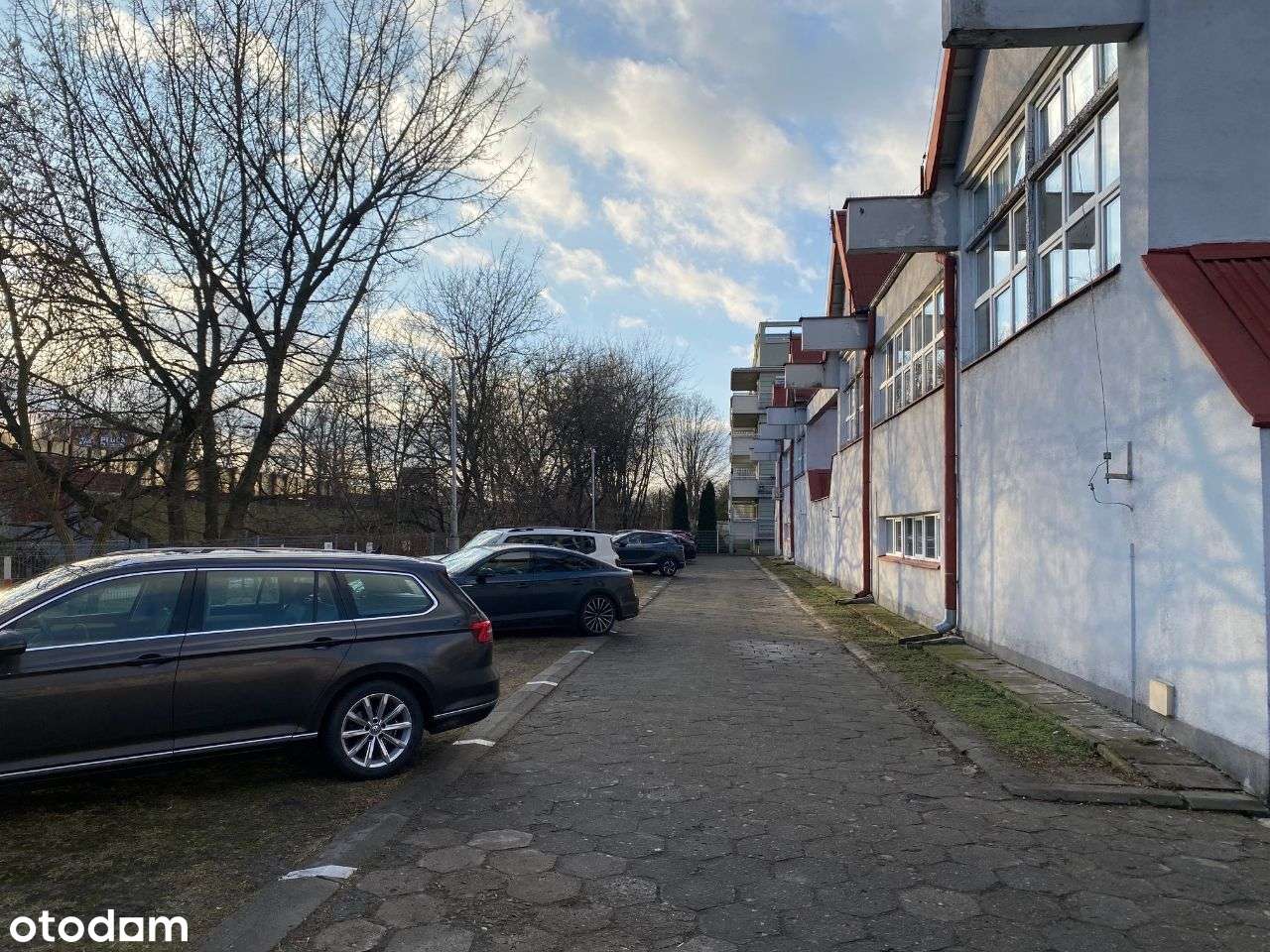 Lokal użytkowy ul. Arabska - Pełny obrazek: 5/5