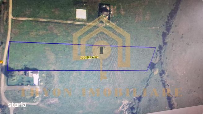 Teren extravilan de 10.030 mp – Petrești, Sebeș-0