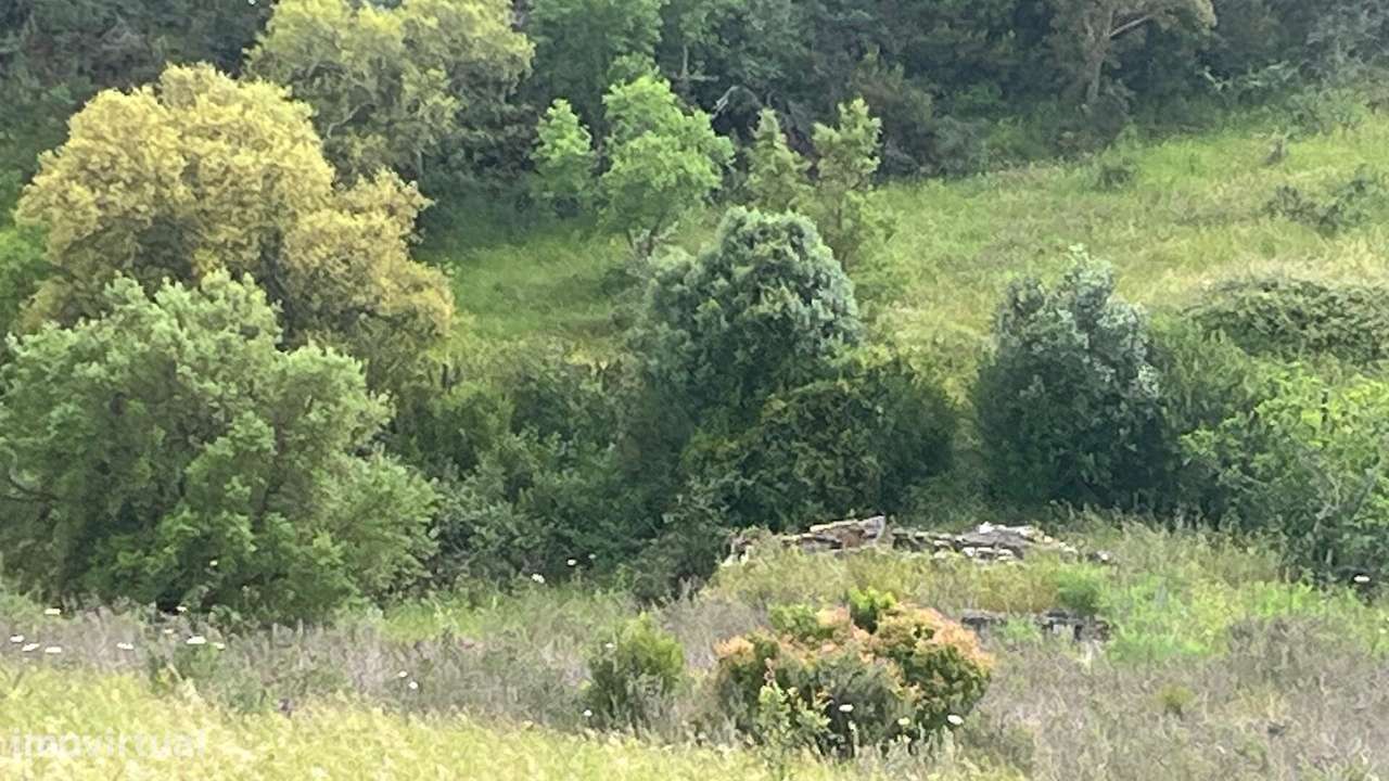 Onde o Silêncio da Natureza se Encontra com a Conveniência do Algarve - Grande imagem: 2/23