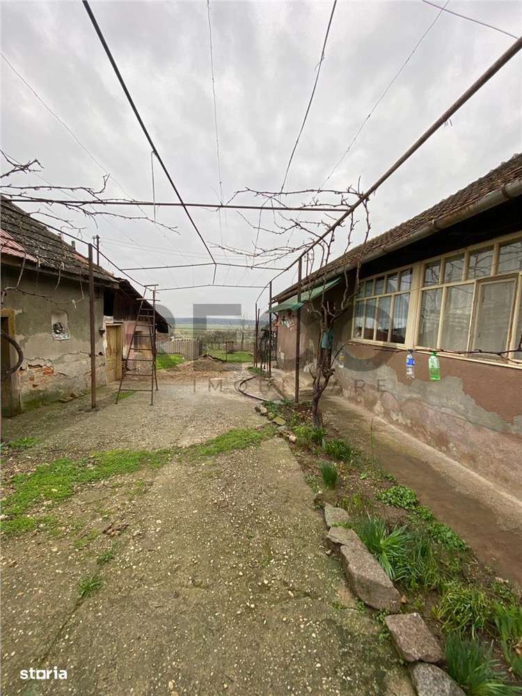 Casa renovabila cu teren mare in Vaida, comuna Rosiori - Imagine principală: 5/6