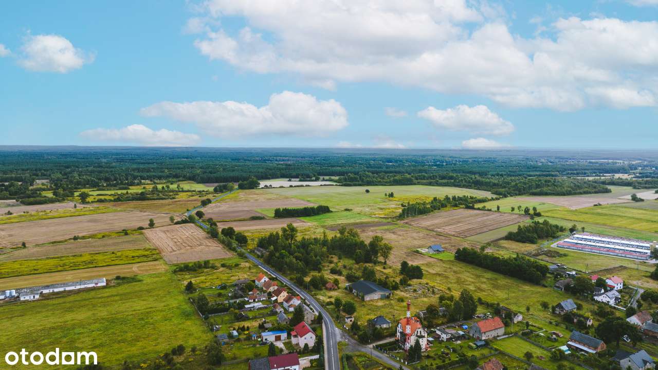 Działki przy Przemkowskim parku krajobrazowym- spokój i natura - Pełny obrazek: 4/18
