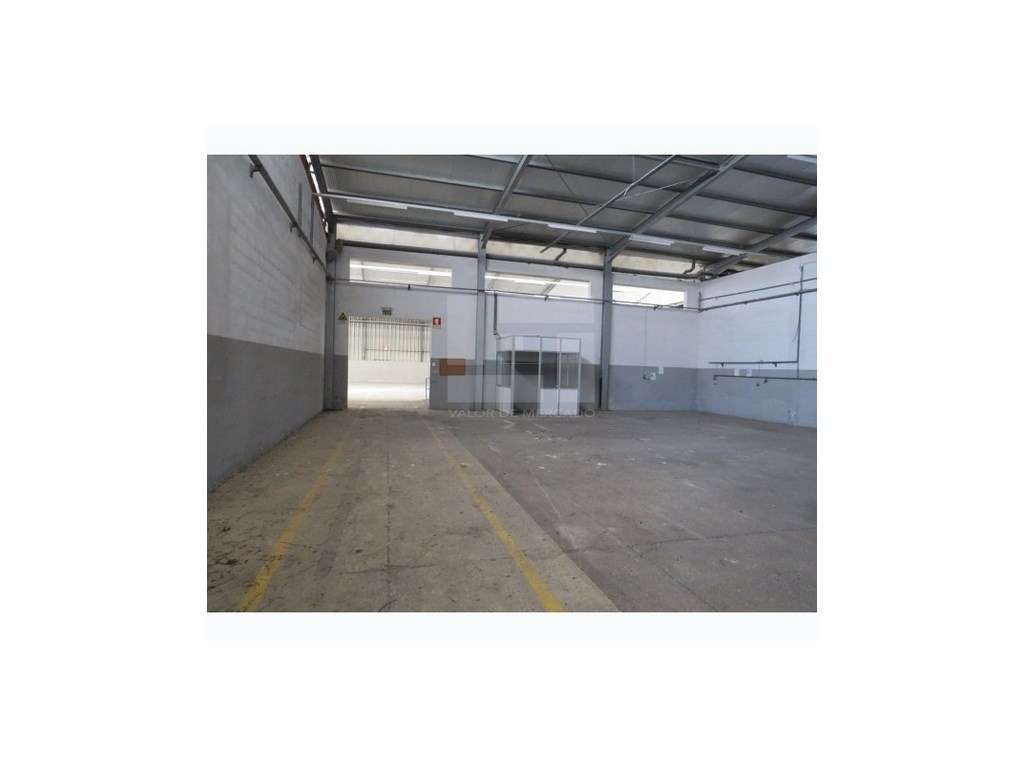 Armazém e Salvaterra de Magos-Muge - Grande imagem: 4/7