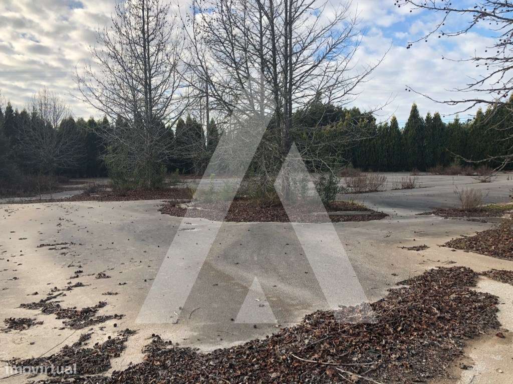 Terreno com uma área de 15 000 m2 em Águeda. - Grande imagem: 4/16