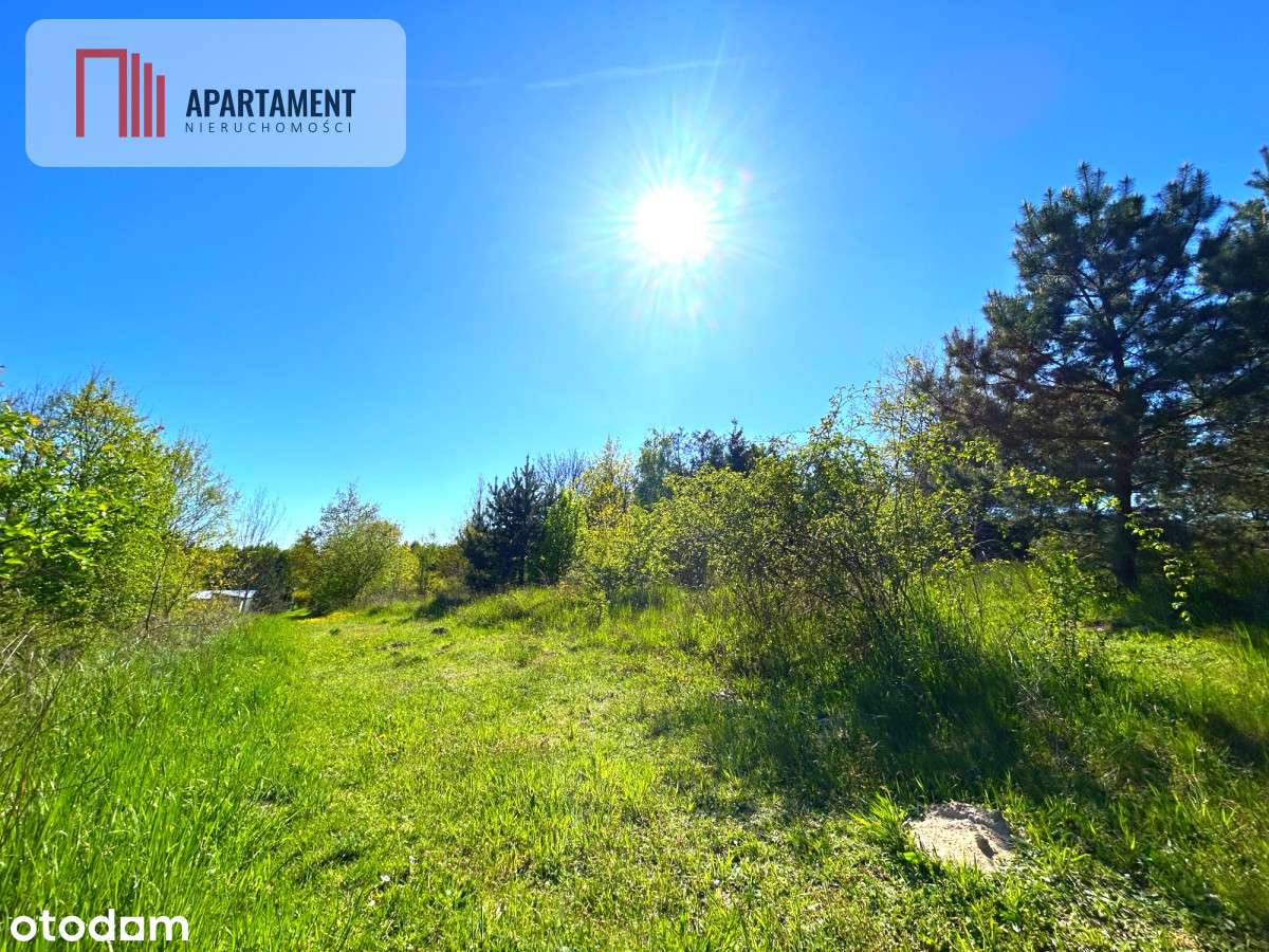 Działki przy jeziorze! Wierzchucinek - Pełny obrazek: 5/6